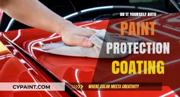 DIY Auto Paint Protection: Easy Steps to Shield Your Car's Finish