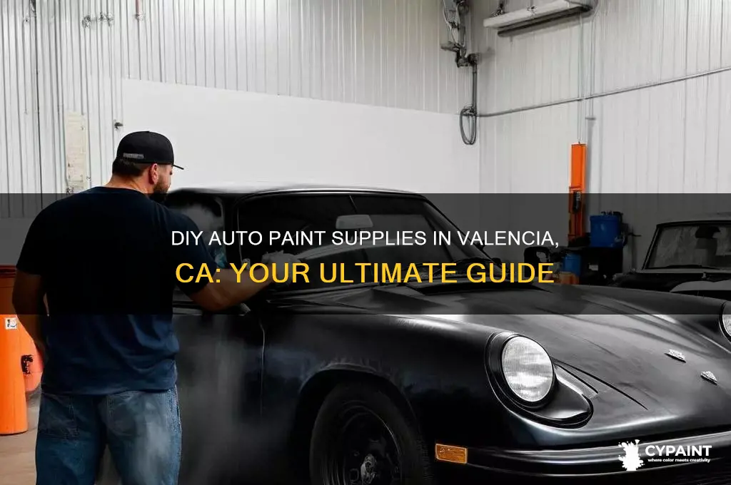 do it yourself auto paint supplies valencia ca