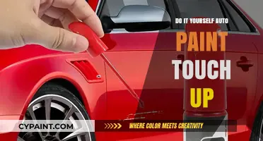 DIY Auto Paint Touch-Up: Easy Fixes for Scratches and Chips
