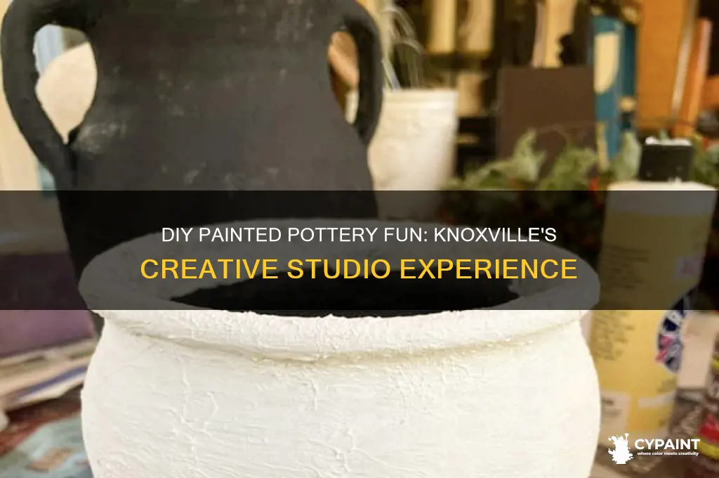 do it yourself painted pottery store knoxville