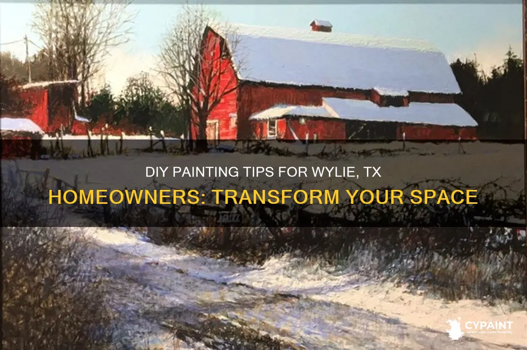 do it yourself painting in wylie tx