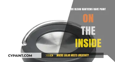 Klean Kanteen Interior: Painted or Stainless Steel?