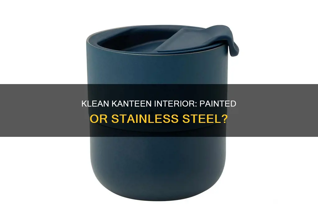 do klean kanteens have paint on the inside