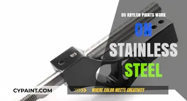 Can Krylon Paints Adhere to Stainless Steel Surfaces Effectively?