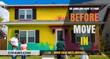Landlord Responsibilities: Must They Paint Before New Tenants Move In?