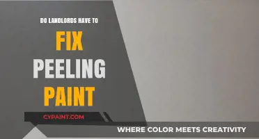 Peeling Paint Problems: Landlord Responsibilities and Tenant Rights Explained