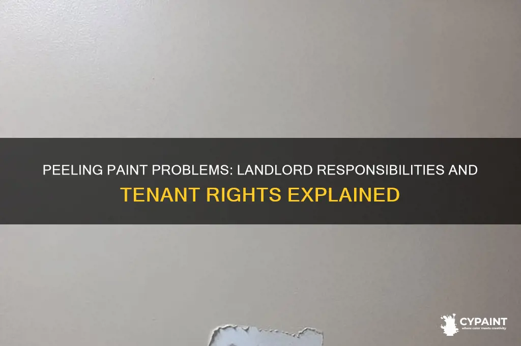 do landlords have to fix peeling paint