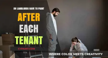 Landlord Responsibilities: Painting Requirements Between Tenants Explained