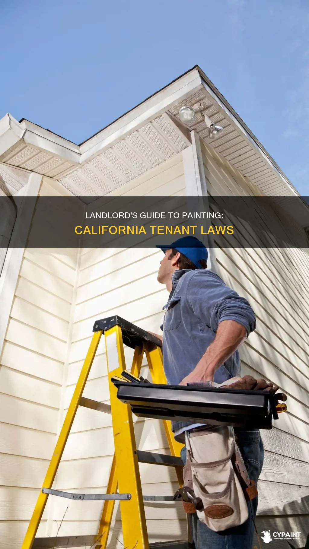 do landlords have to paint between tenants in california