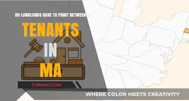 Landlord Obligations: Painting Rules in Massachusetts