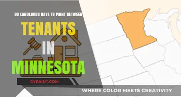 Minnesota Landlords: Fresh Paint for New Tenants?