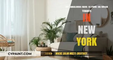 New York Landlord Painting Requirements: Must Walls Be Refreshed Between Tenants?