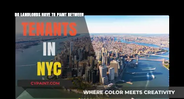 NYC Tenant Rights: Fresh Paint for New Tenants?
