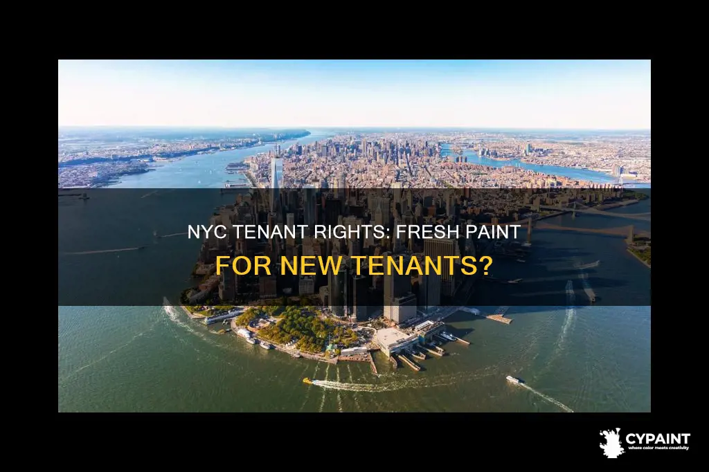 do landlords have to paint between tenants in nyc