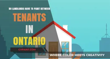 Landlord Obligations: Painting Between Tenants in Ontario
