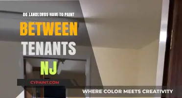 NJ Landlord Responsibilities: Painting Requirements Between Tenants Explained