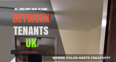 UK Landlord Responsibilities: Painting Between Tenants - What's Required?