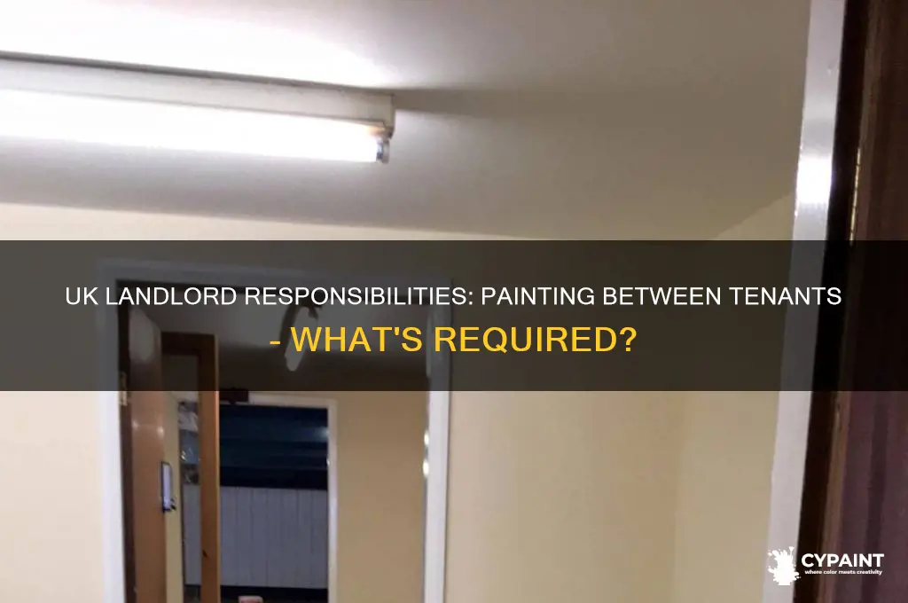 do landlords have to paint between tenants uk