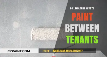 Landlord Responsibilities: Painting Between Tenants – What’s Required?