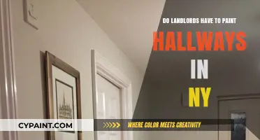 NY Landlord Responsibilities: Must Hallways Be Painted by Owners?