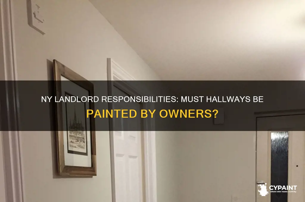 do landlords have to paint hallways in ny