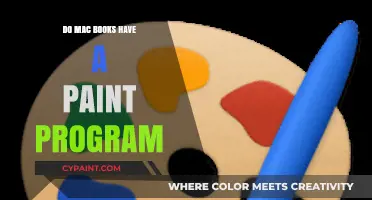 Exploring Mac's Built-In Tools: Does macOS Include a Paint Program?
