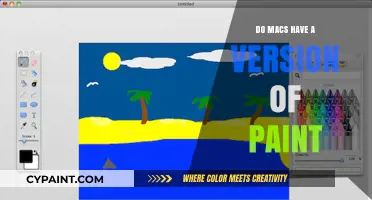 Mac's Paint Alternative: Discovering Creative Tools for Apple Users