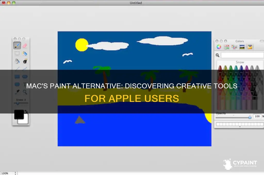 do macs have a version of paint