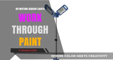 Can Paint Affect Motion Sensor Lights? Functionality Explained