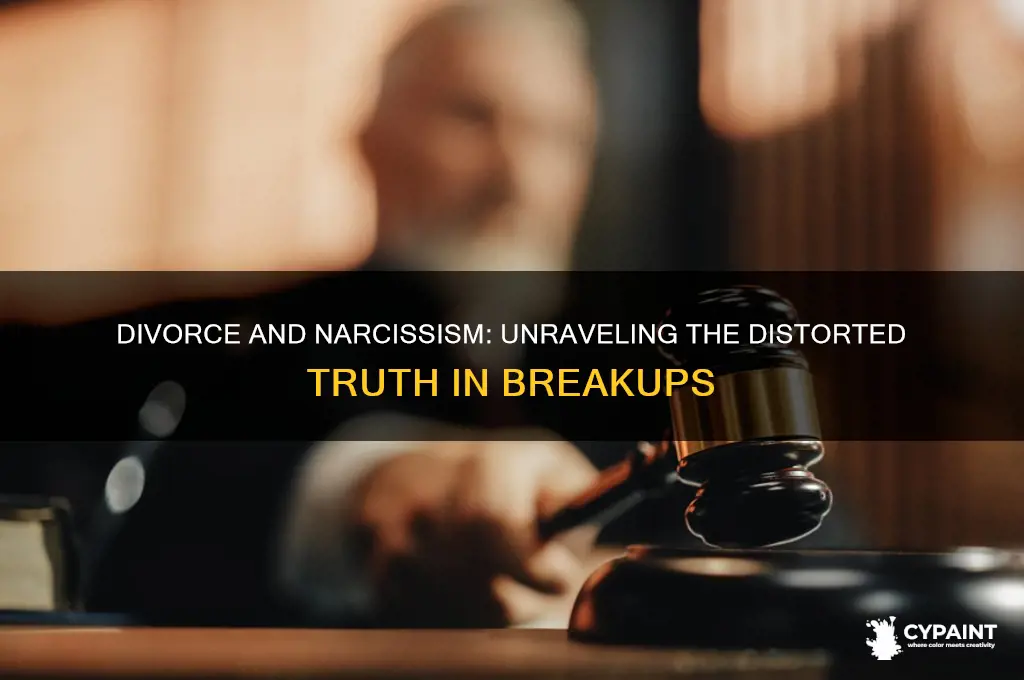 do narcisiistis paint a different truth in divorce