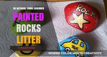 Are Painted Rocks in National Parks Considered Litter?