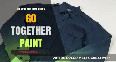 Navy and Lime Green Paint: A Bold and Vibrant Color Combination