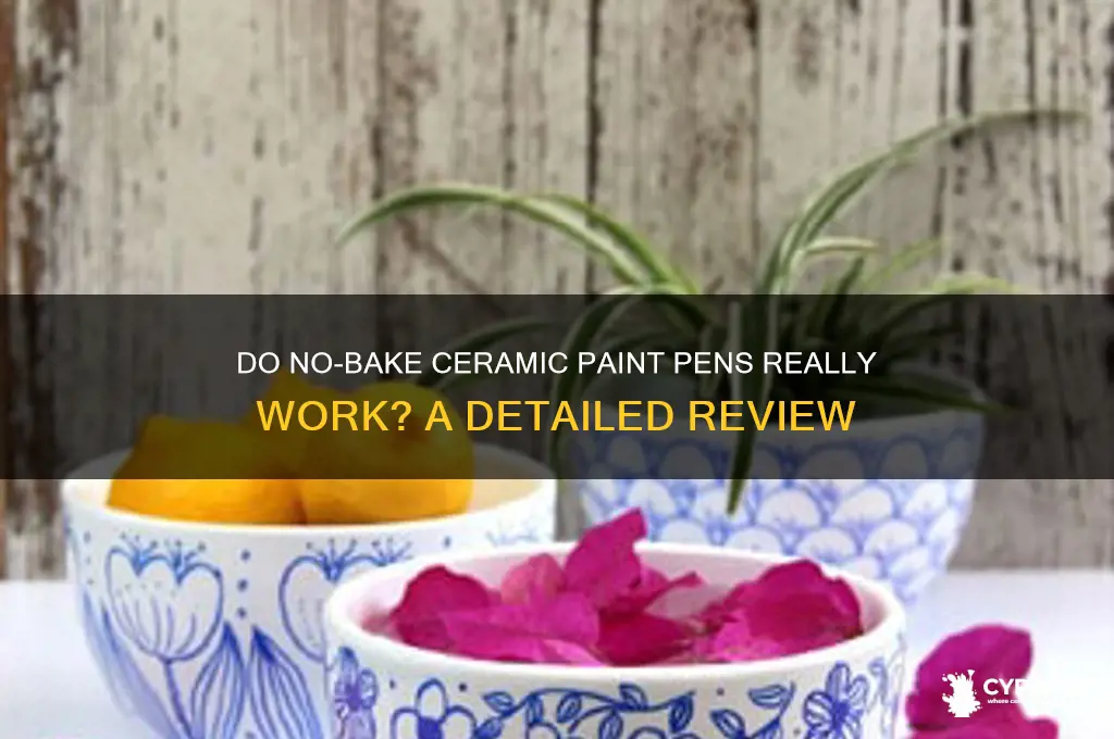 do no bake ceramic paint pens work