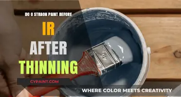 Should You Strain Paint Before or After Thinning? Expert Tips