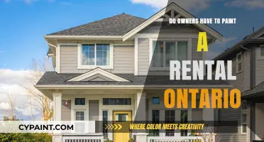 Ontario Rental Painting Rules: Owner Responsibilities Explained