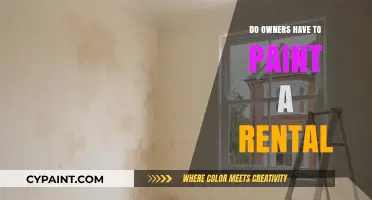 Rental Property Maintenance: Are Owners Required to Paint?