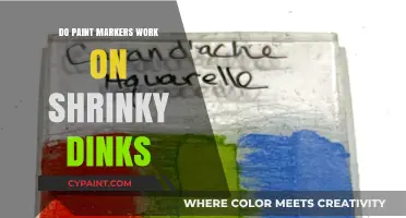 Can Paint Markers Transform Shrinky Dinks Creations? Tips and Tricks