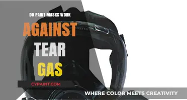 Do Paint Masks Offer Effective Protection Against Tear Gas?