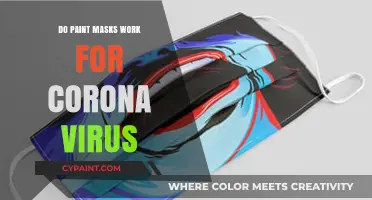 Do Paint Masks Effectively Protect Against Coronavirus? Facts and Myths