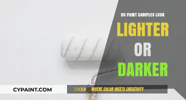 Paint Samples: Lighter or Darker? Decoding Color Perception for Accurate Results