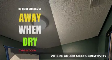 Do Paint Streaks Disappear After Drying? A Comprehensive Guide