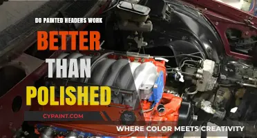 Painted vs. Polished Headers: Which Enhances Performance and Style Better?