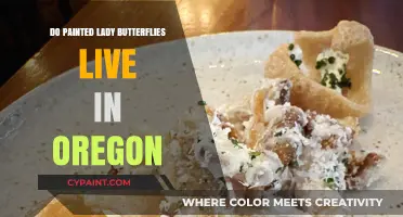 Painted Lady Butterflies in Oregon: Habitat, Migration, and Sightings