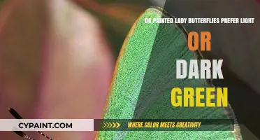 Painted Ladies: Light or Dark Green?