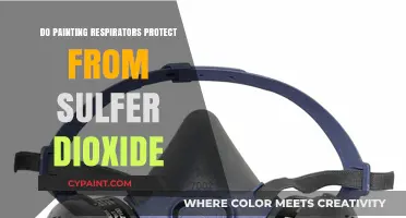 Painting Respirators: Effective Protection Against Sulfur Dioxide Exposure?