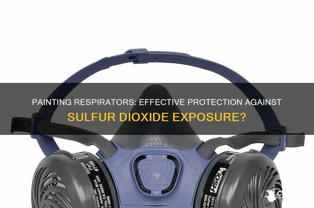 do painting respirators protect from sulfer dioxide