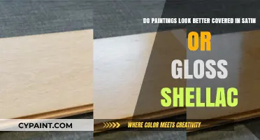 Satin vs. Gloss Shellac: Which Finish Enhances Paintings Best?