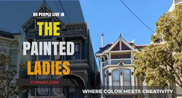 Do People Live in the Painted Ladies? Exploring San Francisco's Iconic Homes