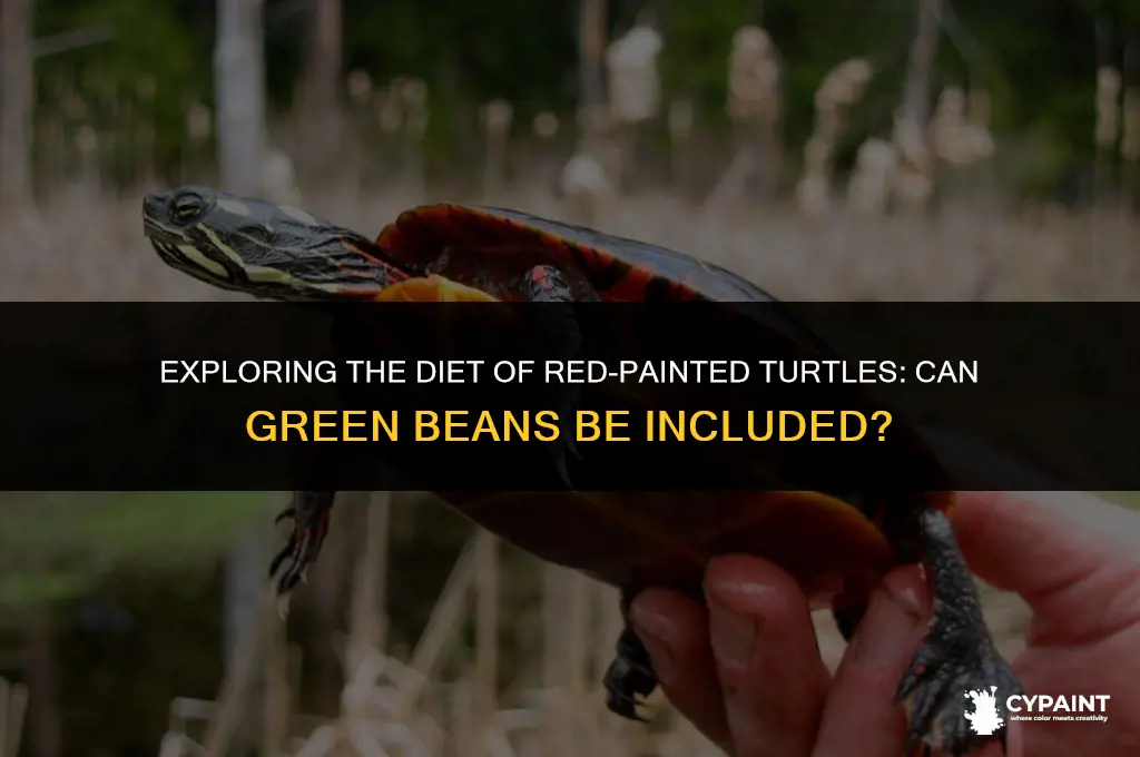 do red painted turtles eat can green beans
