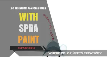 Do Researchers Tag Polar Bears with Spray Paint? Unveiling the Truth